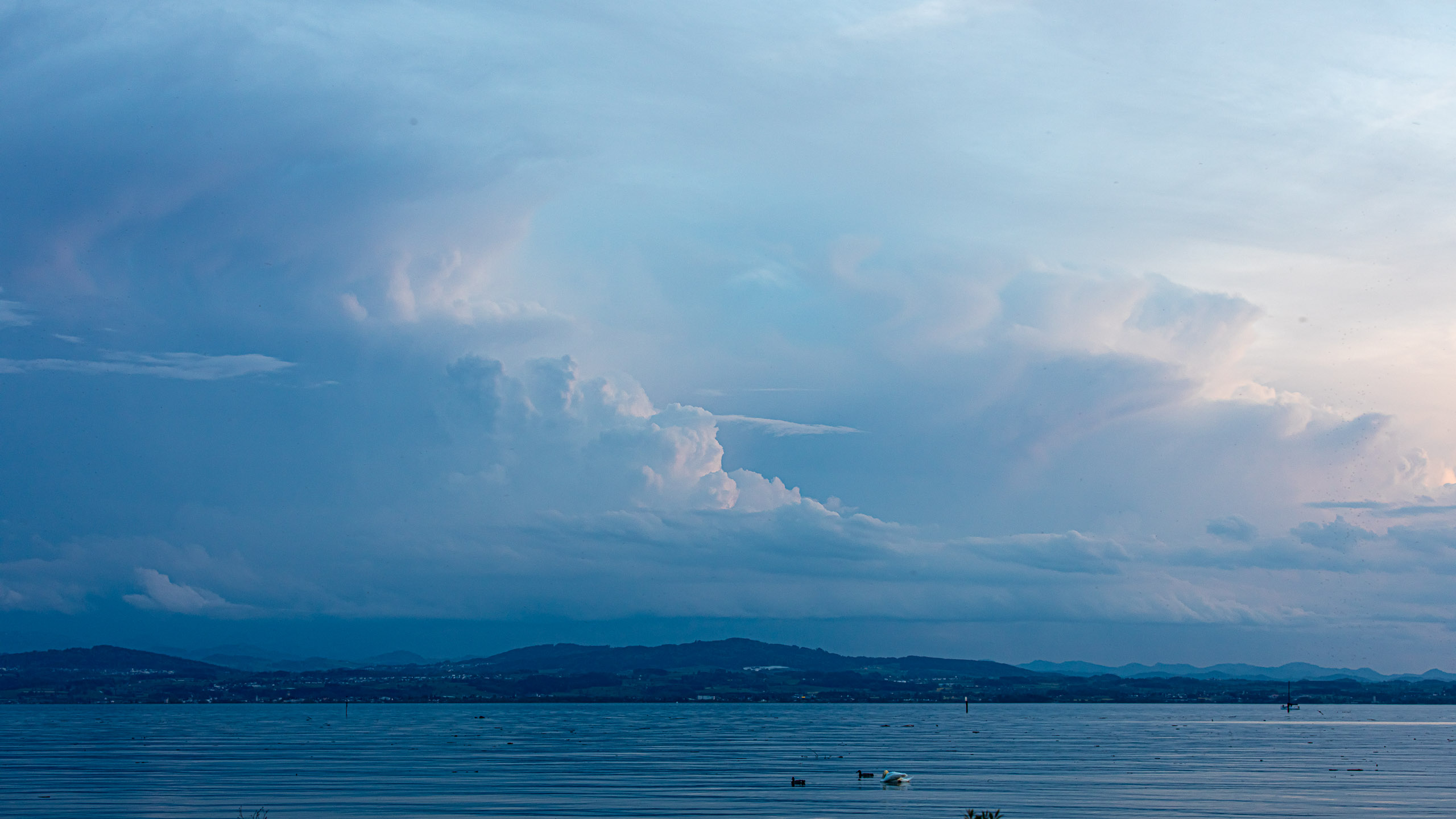 20230506202959 RD4 3937